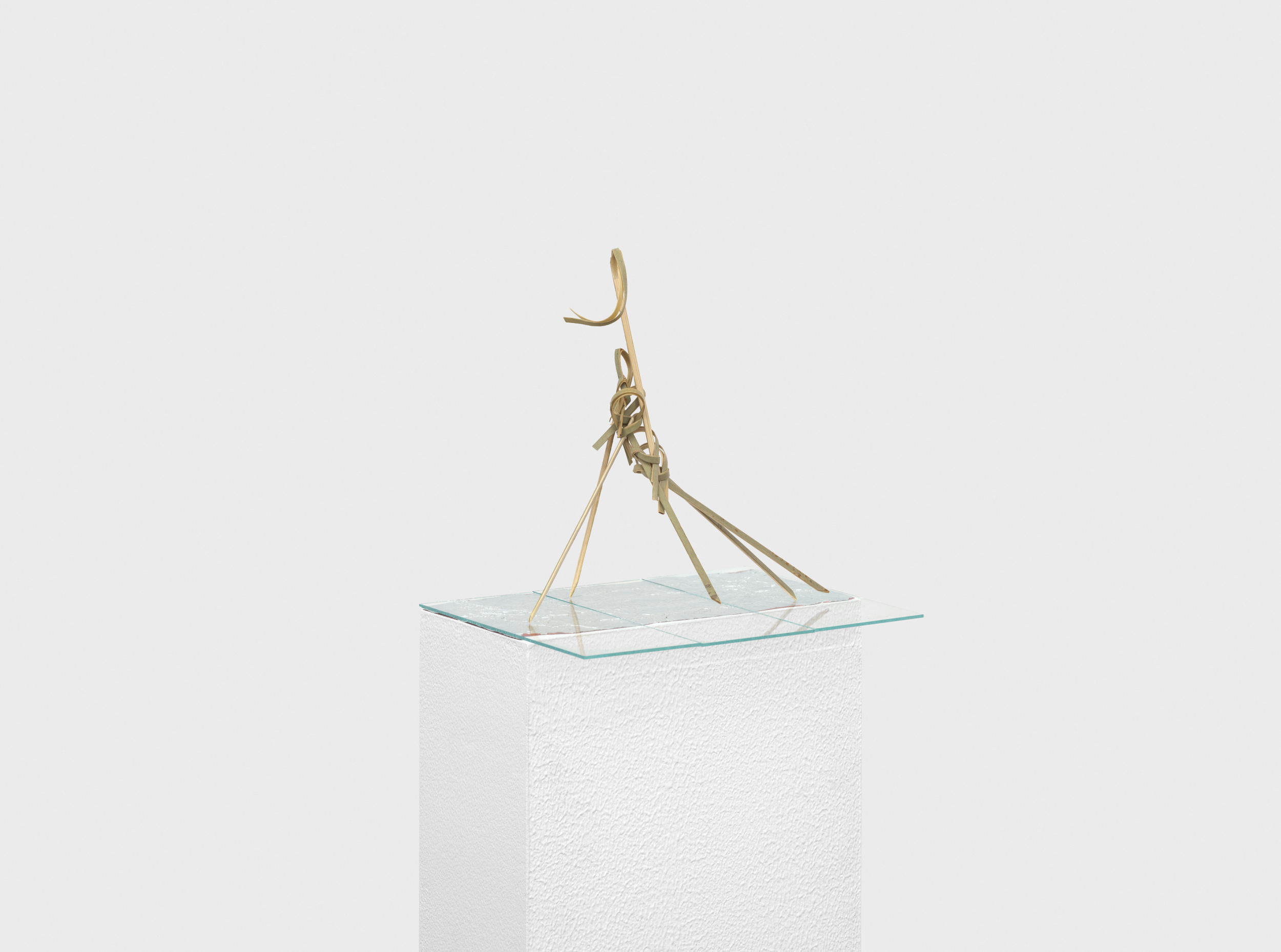 Work detail from Aisha Altenhofen, The Exact Opposite of Precision, Joseph Cuts, Basel