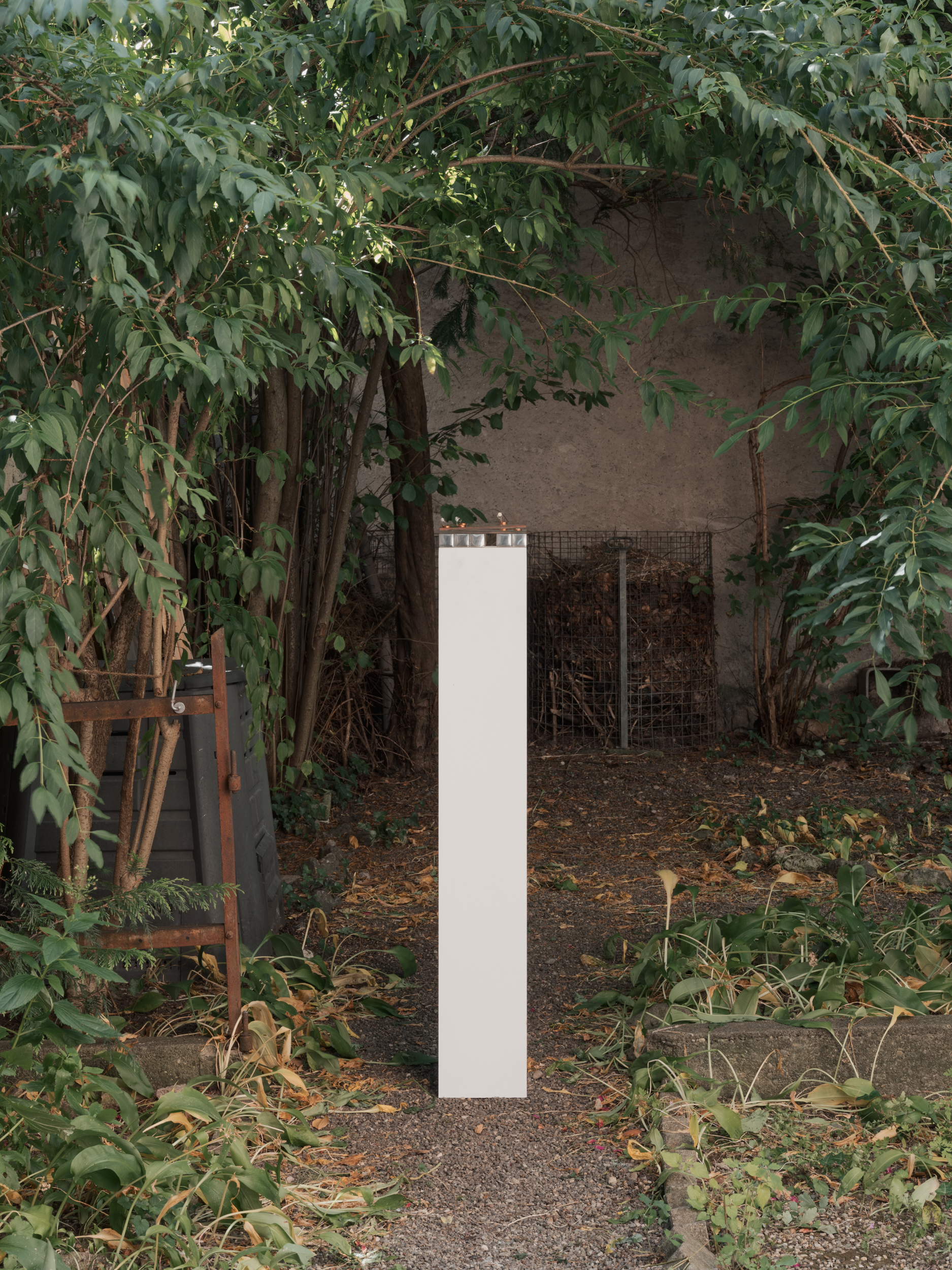 Installation view, garden