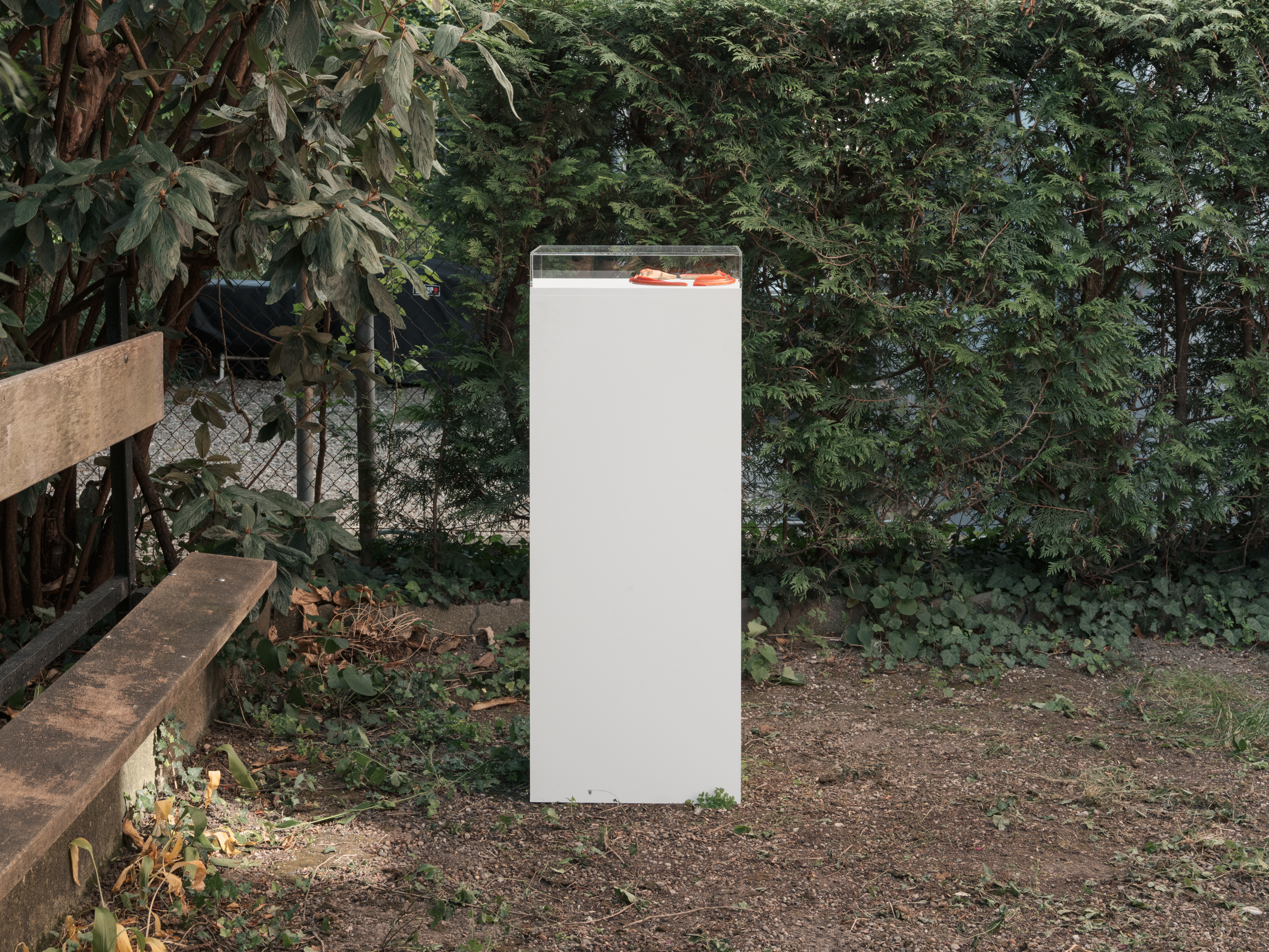 Installation view, garden
