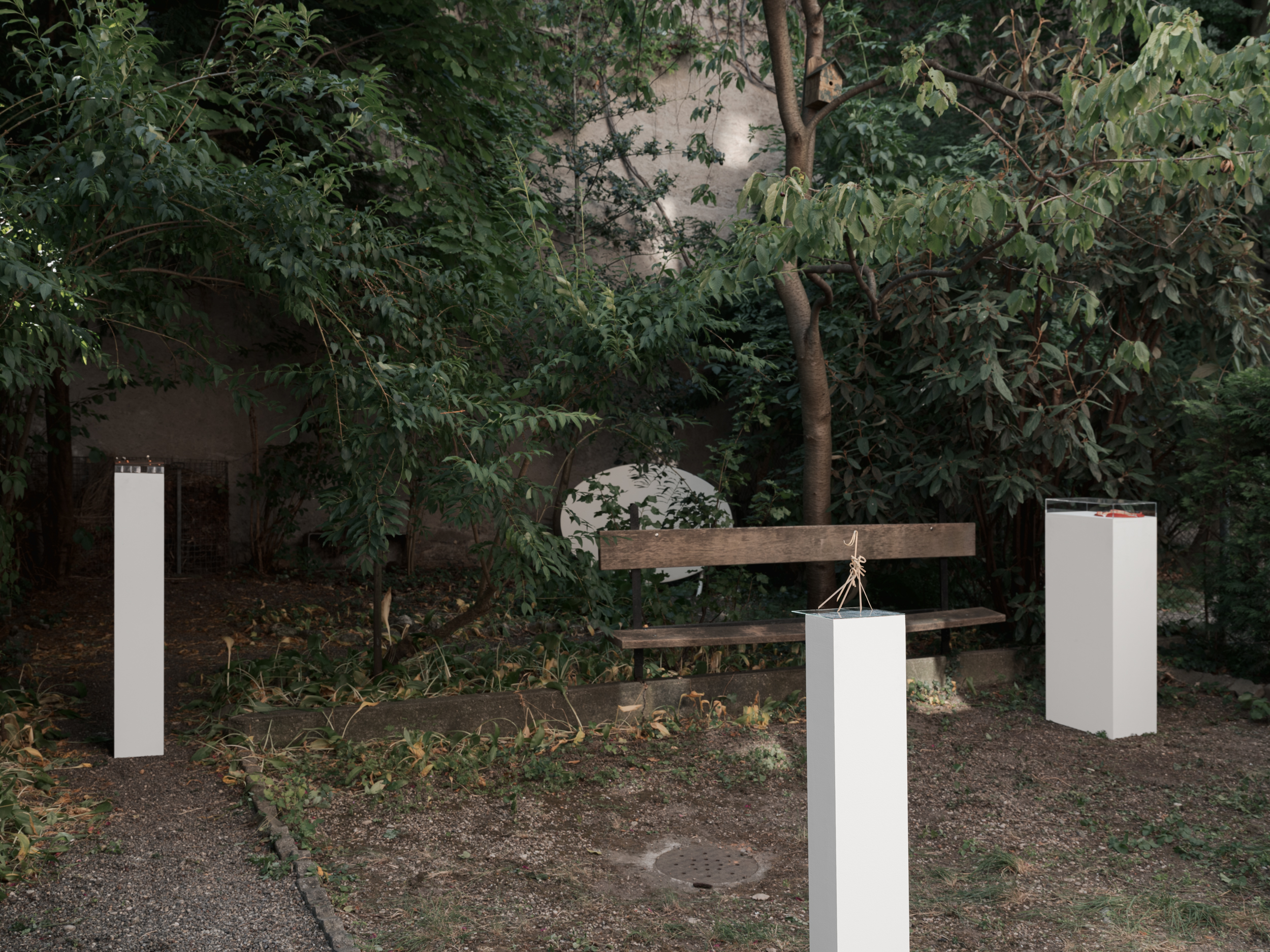 Installation view, garden